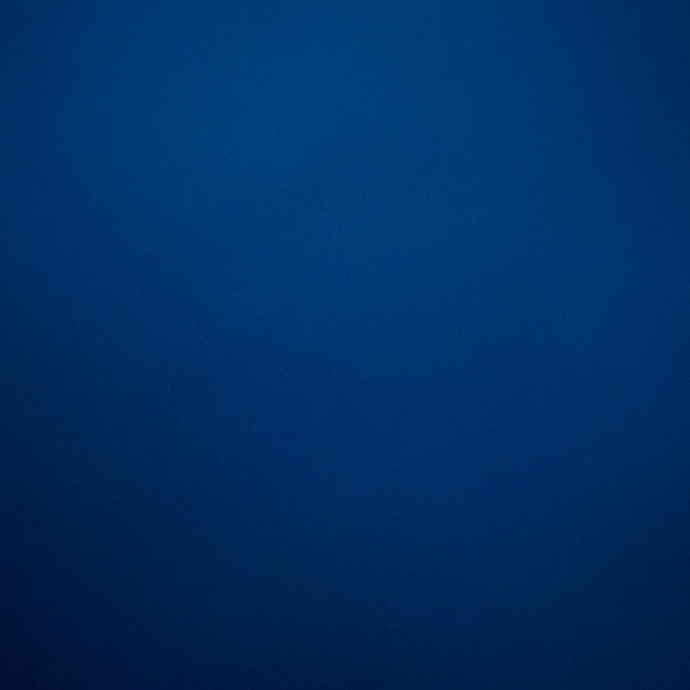 Meet your Posher, Dina